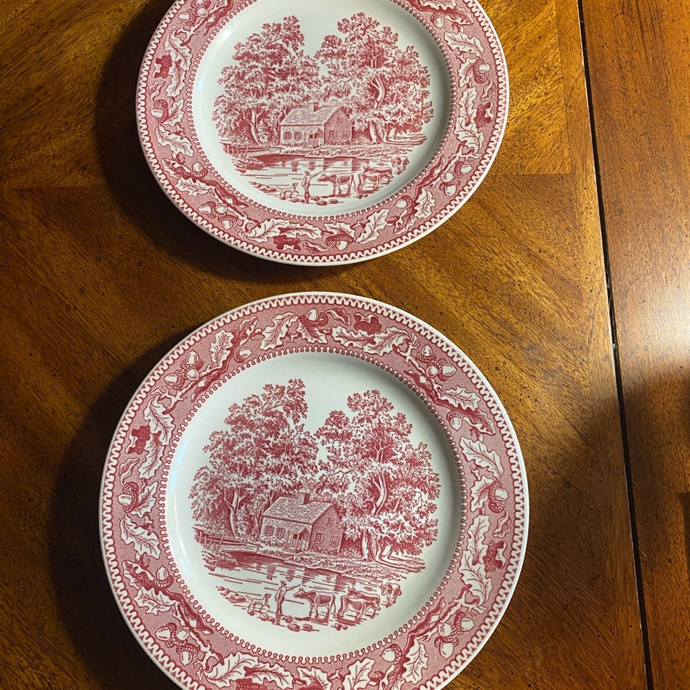 2 Memory Lane 10”Dinner Plates by Royal China USA